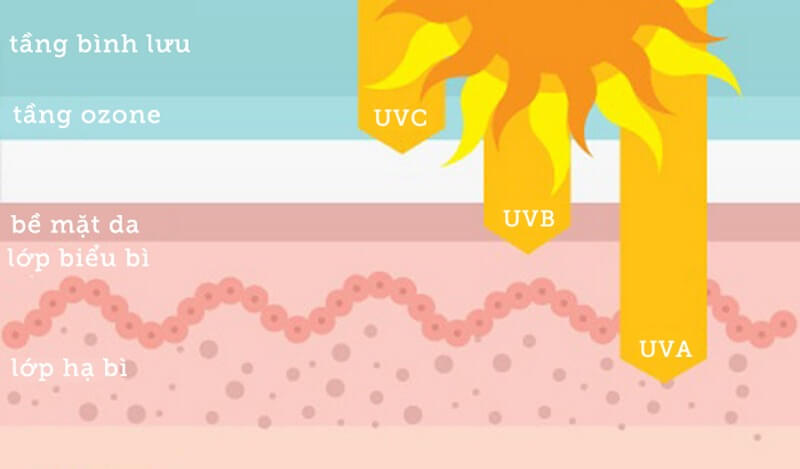 Mặt trời phát ra 3 loại tia tử ngoại đó là UVA, UVB và UVC